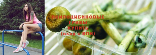 стаф Арсеньев