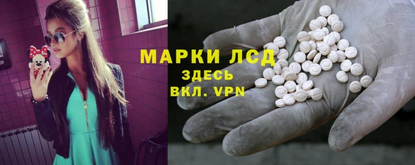 шишки Снежногорск