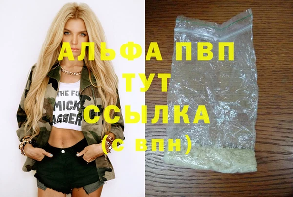 стаф Арсеньев