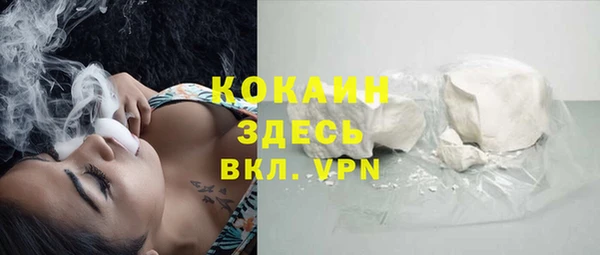 стаф Арсеньев