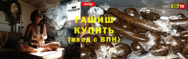 шишки Снежногорск
